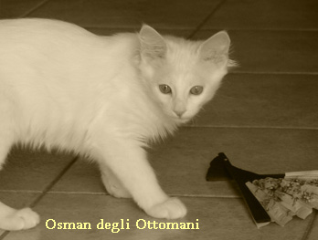 Osman degli Ottoomani - Angora turco