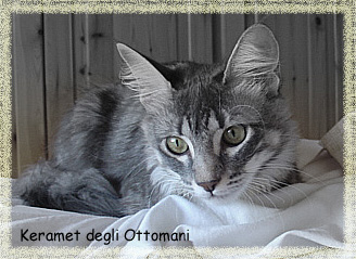 Keramet degli Ottomani - Angora Turco