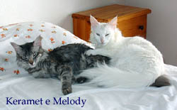 Melody e Keramet degli Ottomani