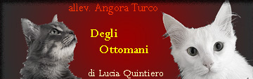 http://www.degliottomani.it