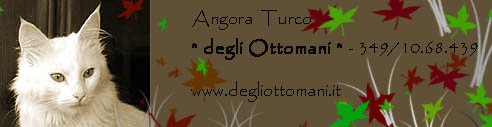 htto://www.degliottomani.it